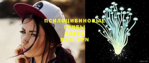 а пвп мука Мегион