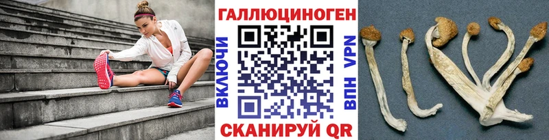 ссылка на мегу маркетплейс  Усть-Катав  Псилоцибиновые грибы мухоморы  как найти наркотики 
