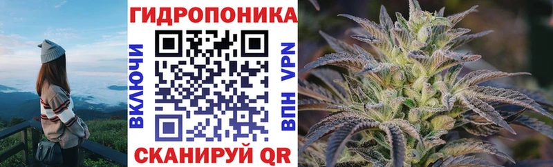 Шишки марихуана семена  Усть-Катав 